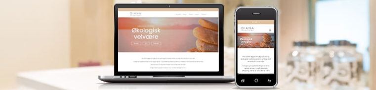 Klinik DIANA - WordPress Webshop